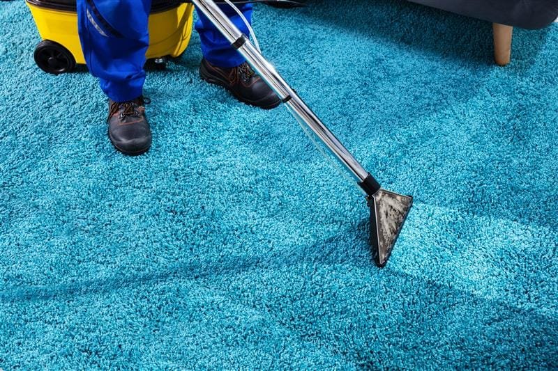 How Often Should You Really Clean Your Carpets? 