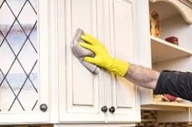 download (15) download (15)